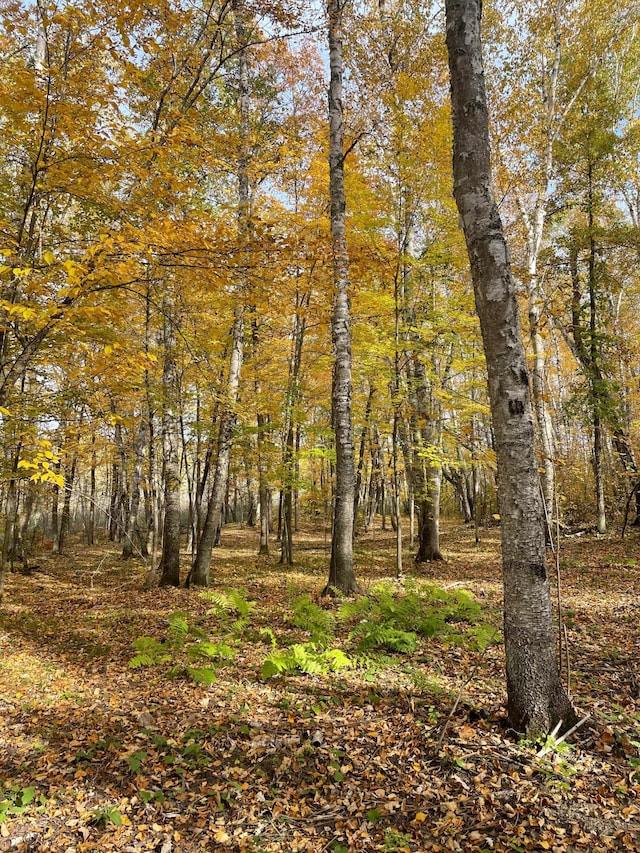 1544 Willard Lake Rd NW, Backus, MN 56435