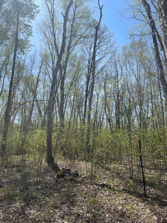 1544 Willard Lake Rd NW, Backus, MN 56435