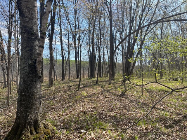 1544 Willard Lake Rd NW, Backus, MN 56435
