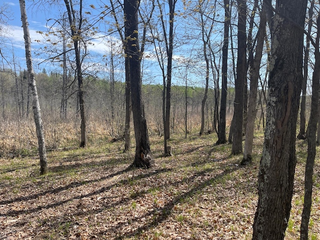1544 Willard Lake Rd NW, Backus, MN 56435
