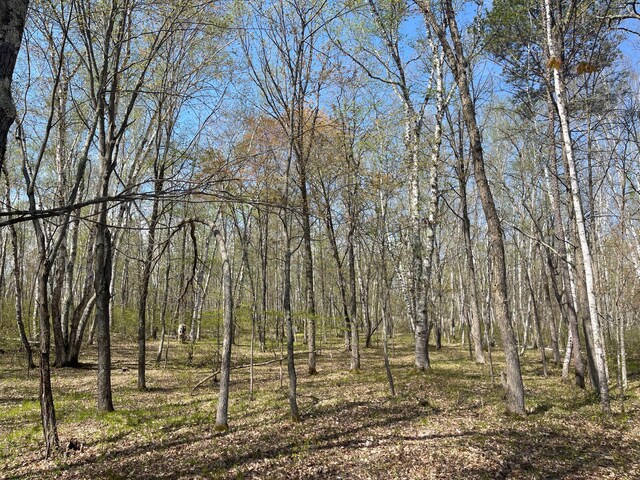 1544 Willard Lake Rd NW, Backus, MN 56435