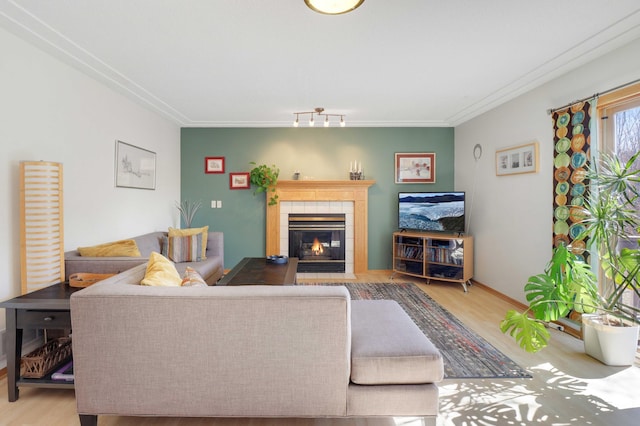 living area featuring rail lighting, baseboards, wood finished floors, and a fireplace