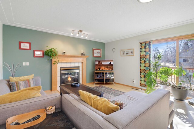 living area with wood finished floors, rail lighting, a fireplace, and baseboards