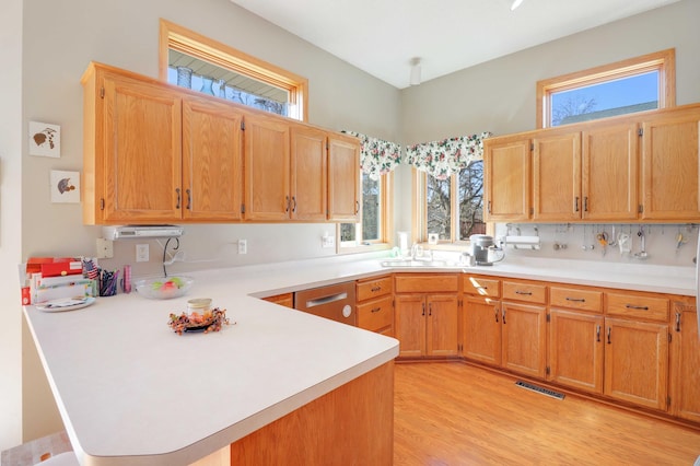 kitchen with a wealth of natural light, visible vents, light countertops, and stainless steel dishwasher