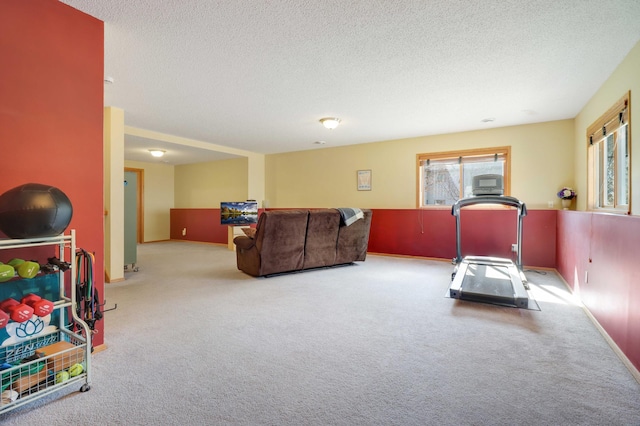 workout area with baseboards, a textured ceiling, and carpet flooring