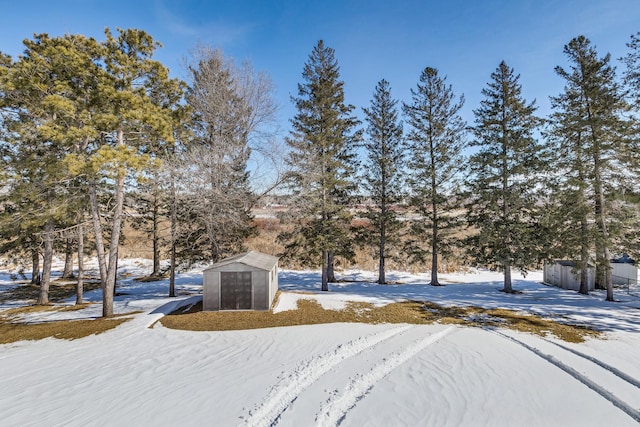 snowy yard with a shed and an outdoor structure