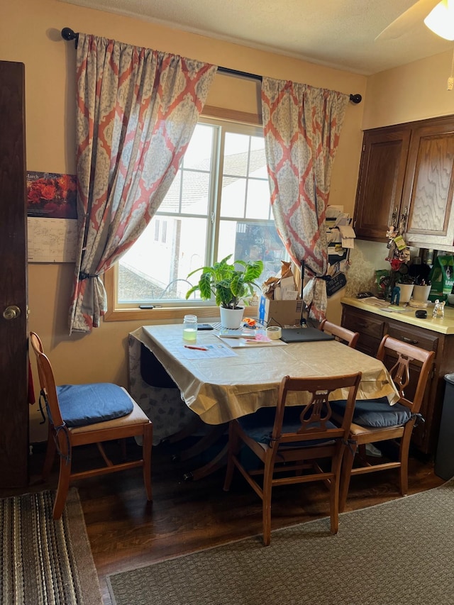 dining space featuring plenty of natural light