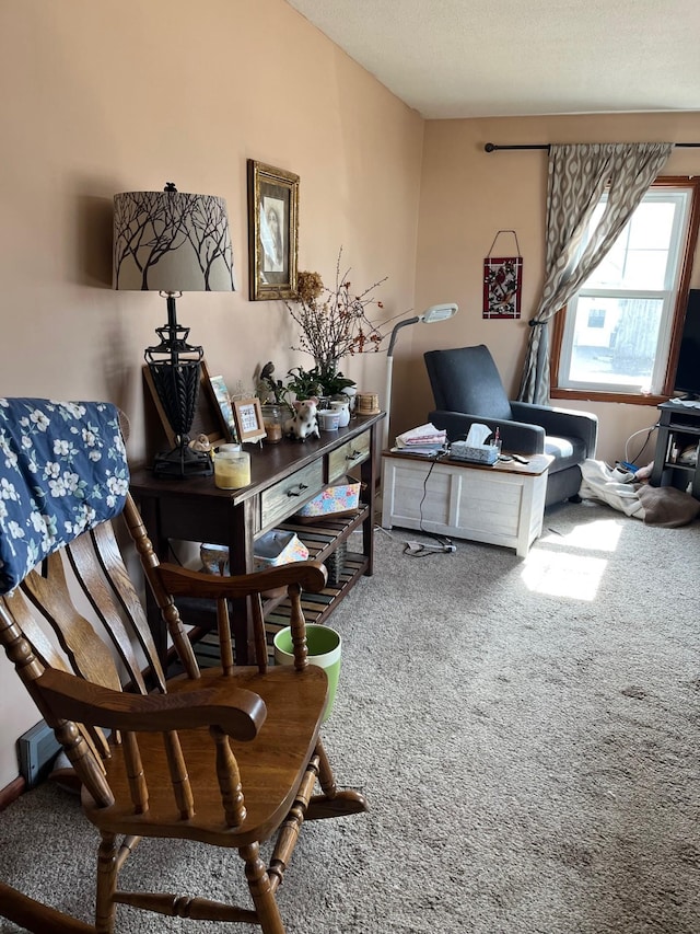 sitting room featuring carpet flooring