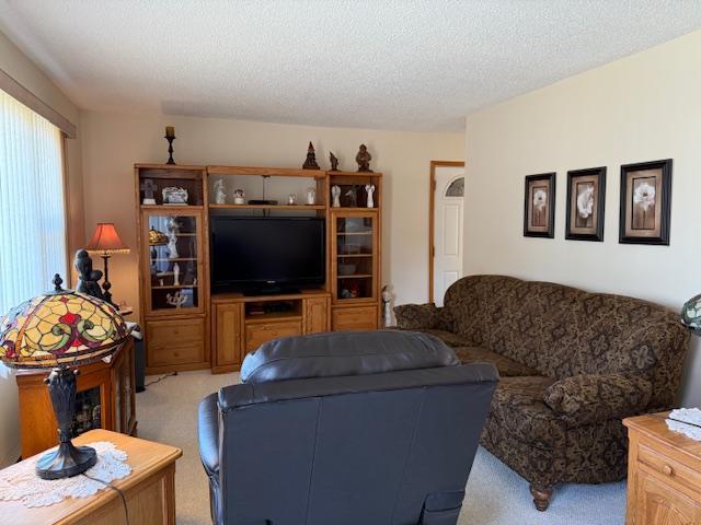 living area with light carpet and a textured ceiling