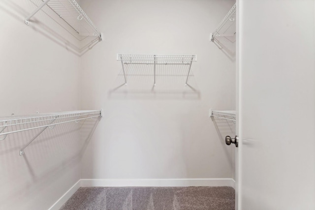 spacious closet with carpet floors