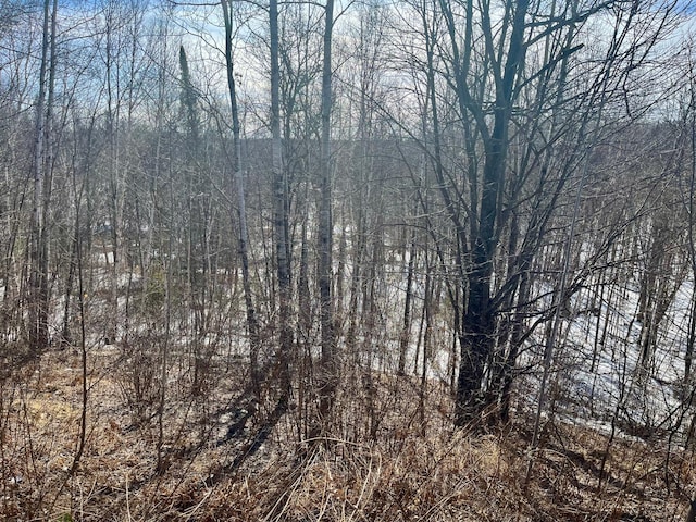 view of nature featuring a view of trees