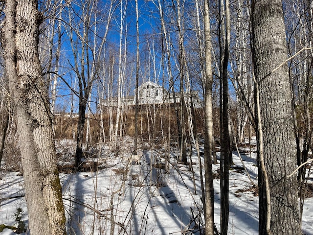 view of snowy view