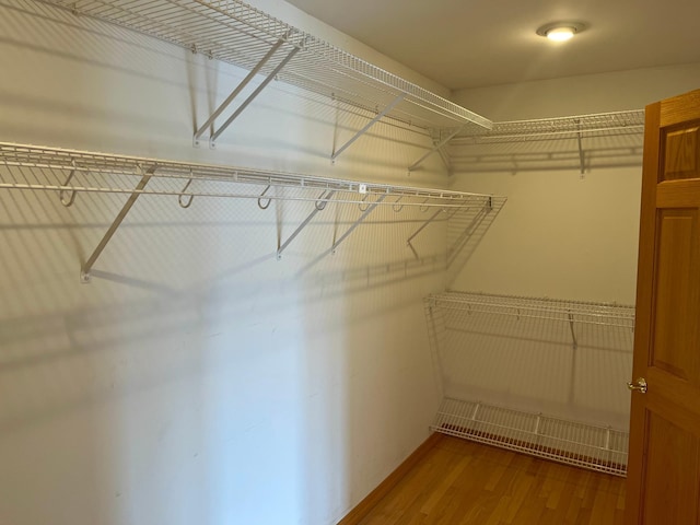 spacious closet featuring wood finished floors