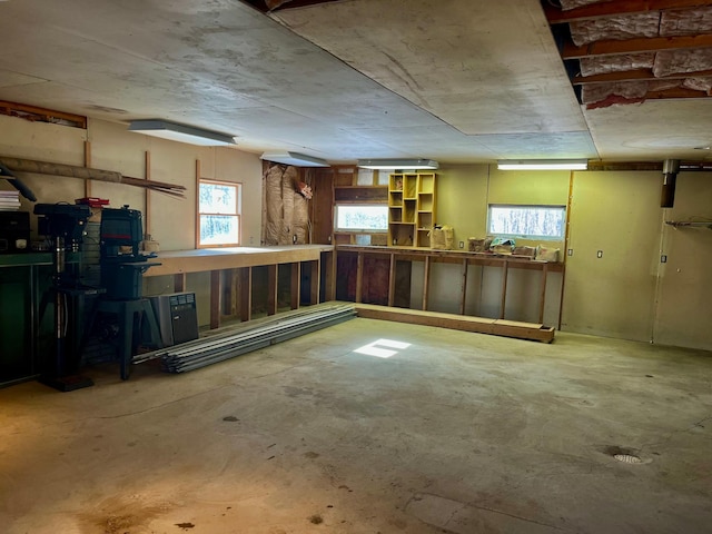 basement featuring a wealth of natural light