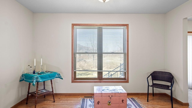 interior space with baseboards and light wood finished floors