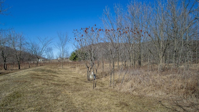 view of landscape