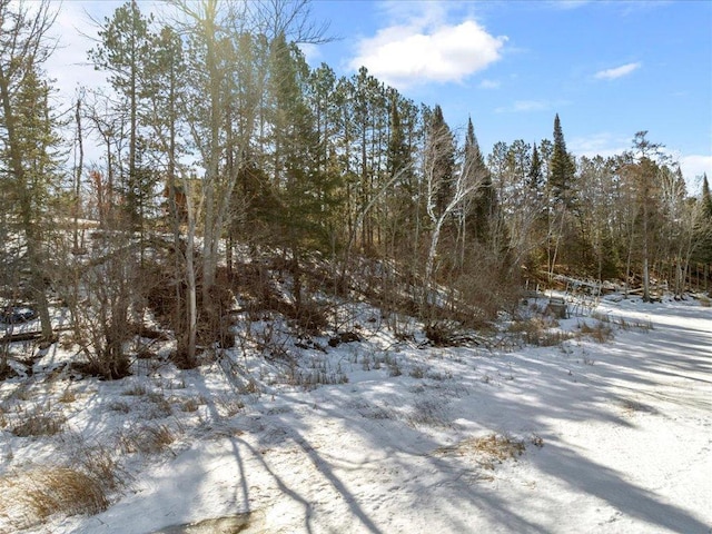 view of snowy landscape