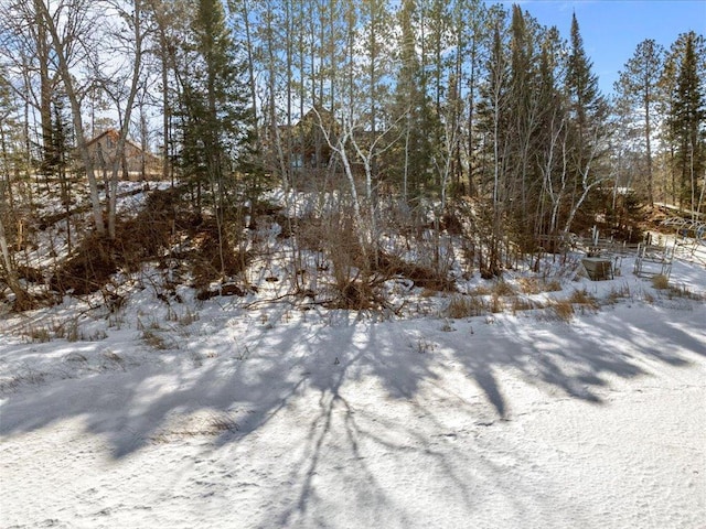 view of snow covered land