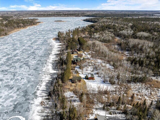 drone / aerial view with a water view and a view of trees