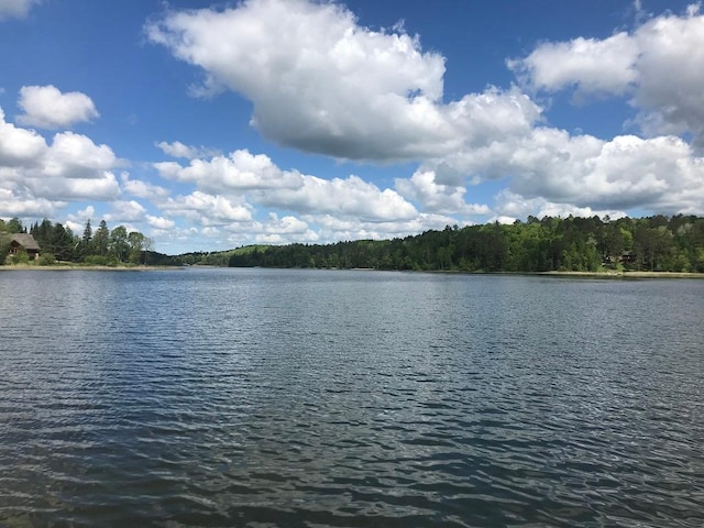 property view of water with a wooded view