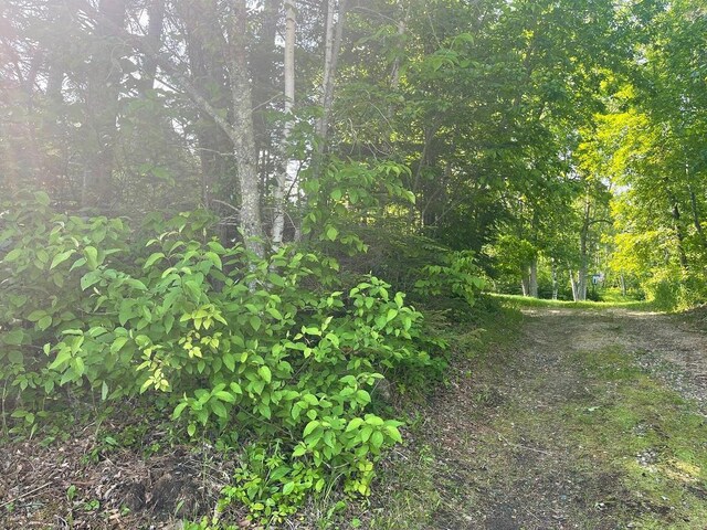 11766 Island Shore Ln, Park Rapids, MN 56470 - view of local wilderness