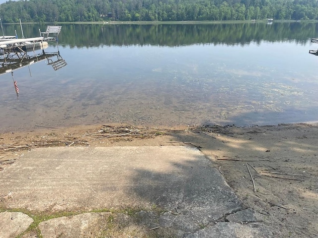 11766 Island Shore Ln, Park Rapids, MN 56470 - dock area with a water view and a wooded view