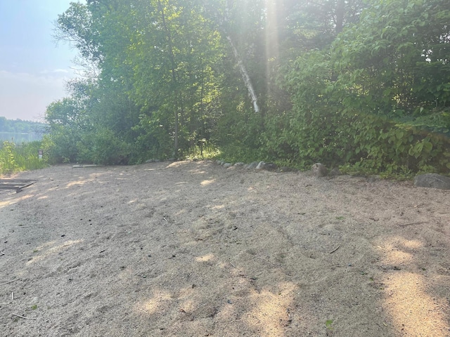 11766 Island Shore Ln, Park Rapids, MN 56470 - view of nature