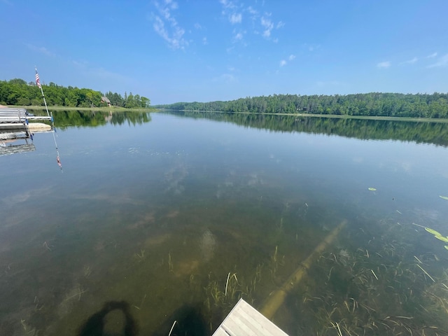 11766 Island Shore Ln, Park Rapids, MN 56470 - water view featuring a forest and a boat dock