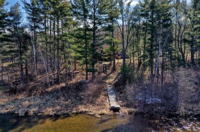 view of local wilderness with a wooded view