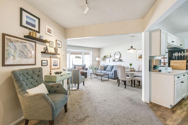 living area with carpet, rail lighting, wood finished floors, and a textured ceiling