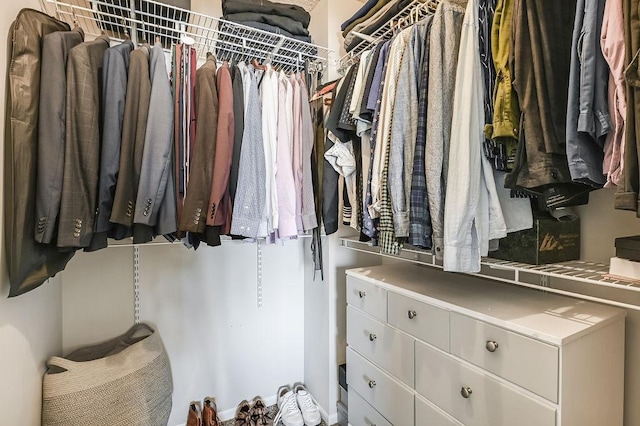 view of walk in closet