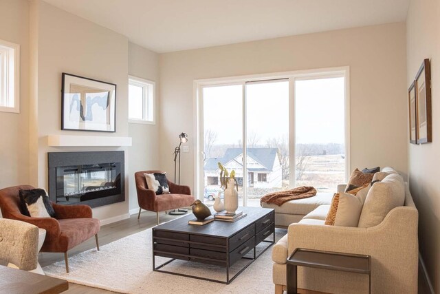 living area with a glass covered fireplace, wood finished floors, and baseboards