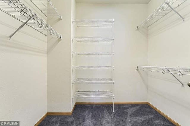 spacious closet with carpet floors