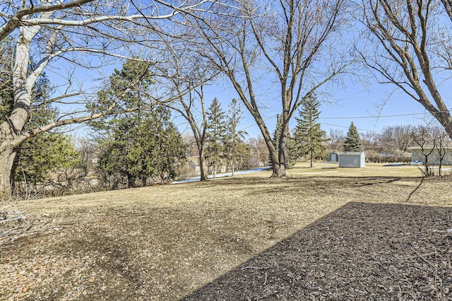 view of yard featuring a storage shed and an outdoor structure