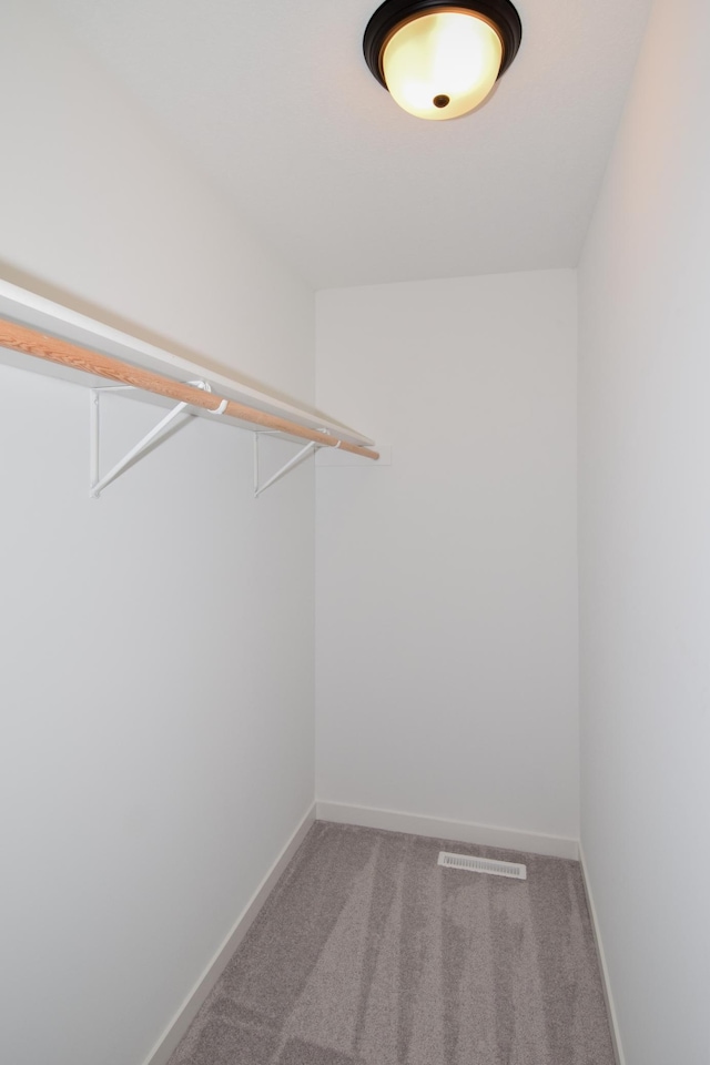 spacious closet with visible vents and carpet floors