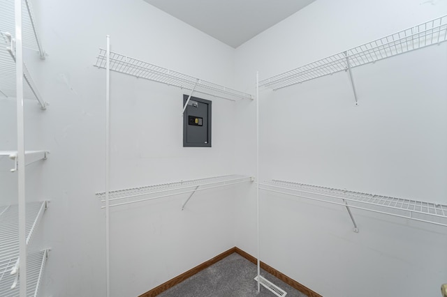 spacious closet with dark carpet