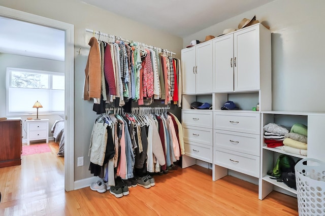 spacious closet with light wood-type flooring