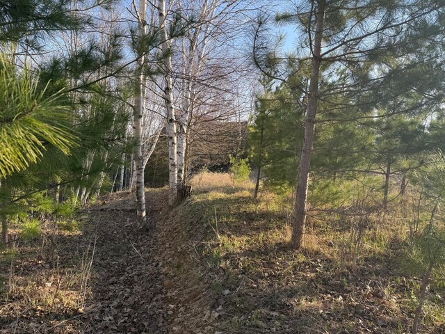 XXB Sprandel Rd, Finlayson, MN 55735