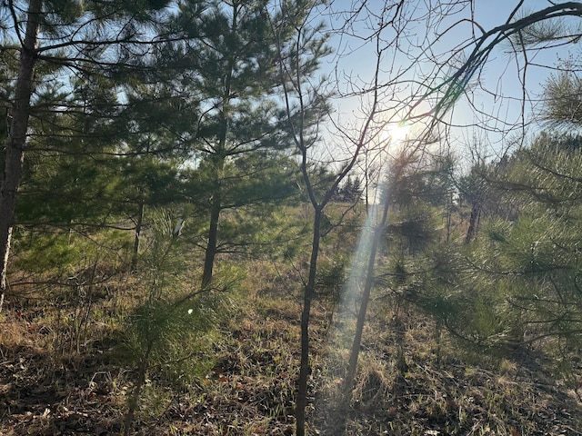 XXB Sprandel Rd, Finlayson, MN 55735