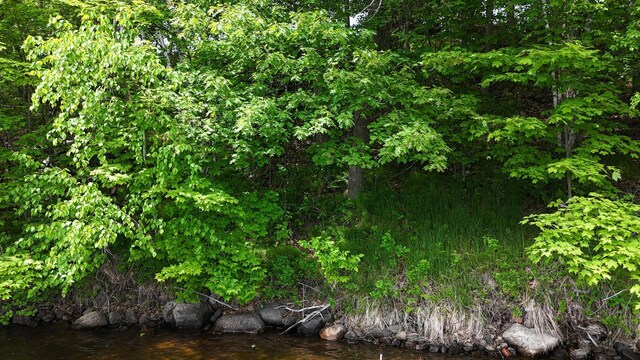 XXB Sprandel Rd, Finlayson, MN 55735 - photo 11