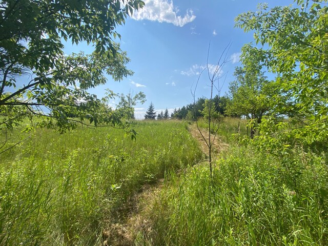 XXB Sprandel Rd, Finlayson, MN 55735 - photo 10