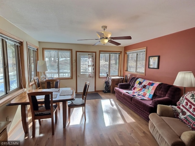33600 Leisure Dr, Cushing, MN 56443 - photo 3
