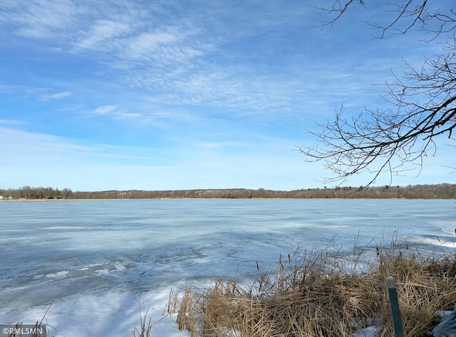 33600 Leisure Dr, Cushing, MN 56443 - photo 16
