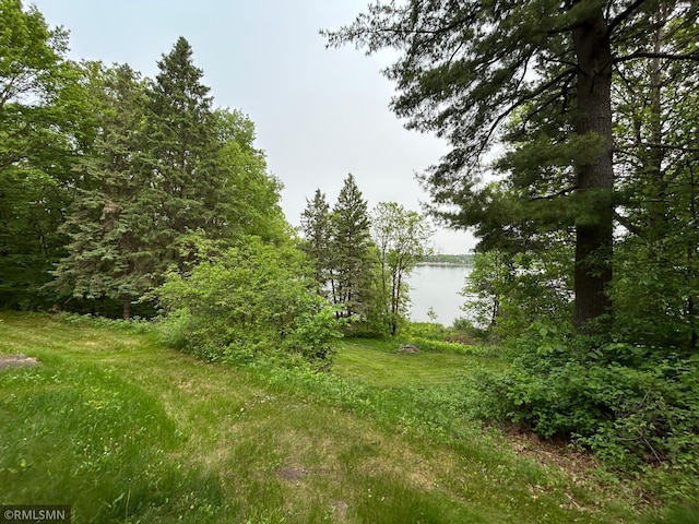 33600 Leisure Dr, Cushing, MN 56443 - photo 14