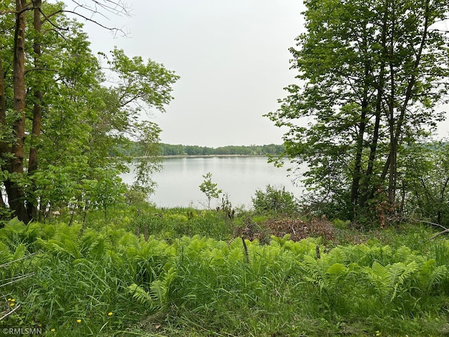 33600 Leisure Dr, Cushing, MN 56443 - photo 15