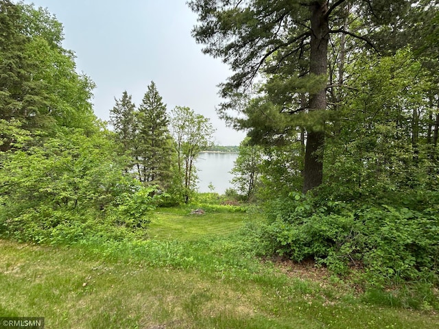 33600 Leisure Dr, Cushing, MN 56443 - photo 25