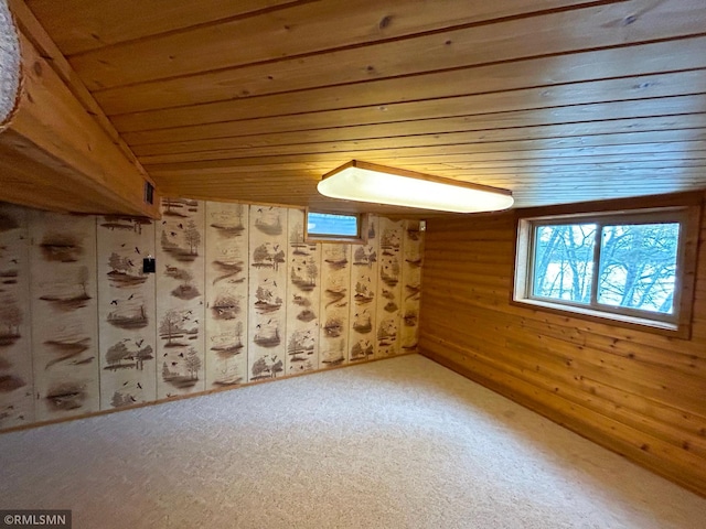 33600 Leisure Dr, Cushing, MN 56443 - photo 20