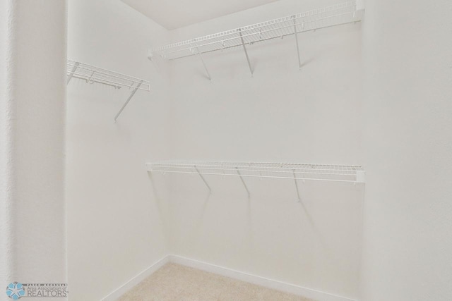 walk in closet with light colored carpet