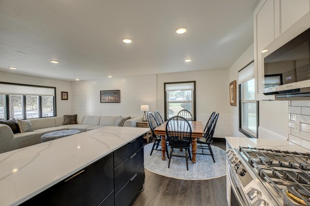 1109 Saint Croix Hts, Hudson, WI 54016 - kitchen with dark cabinets, dark wood-type flooring, appliances with stainless steel finishes, plenty of natural light, and recessed lighting