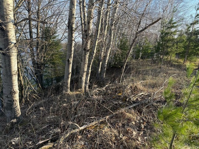 XXA Sprandel Rd, Finlayson, MN 55735